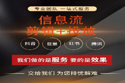行业领先企业背后的信息流代运营案例